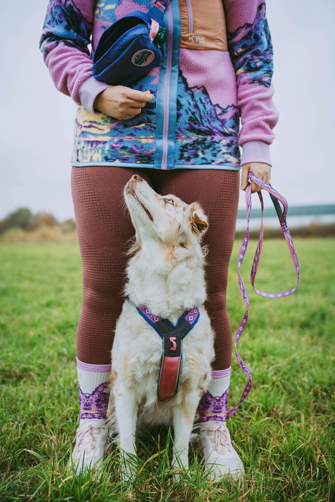 Trail quest leash Rachel Pohl edition - Non-Stop Dogwear