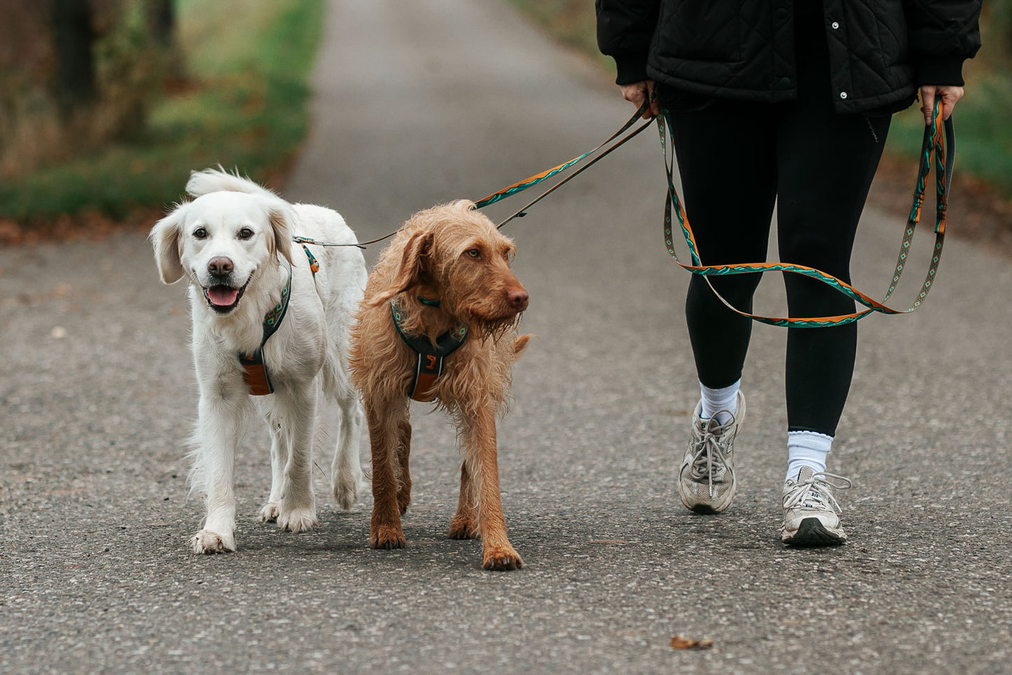 Trail quest leash Rachel Pohl edition - Non-Stop Dogwear