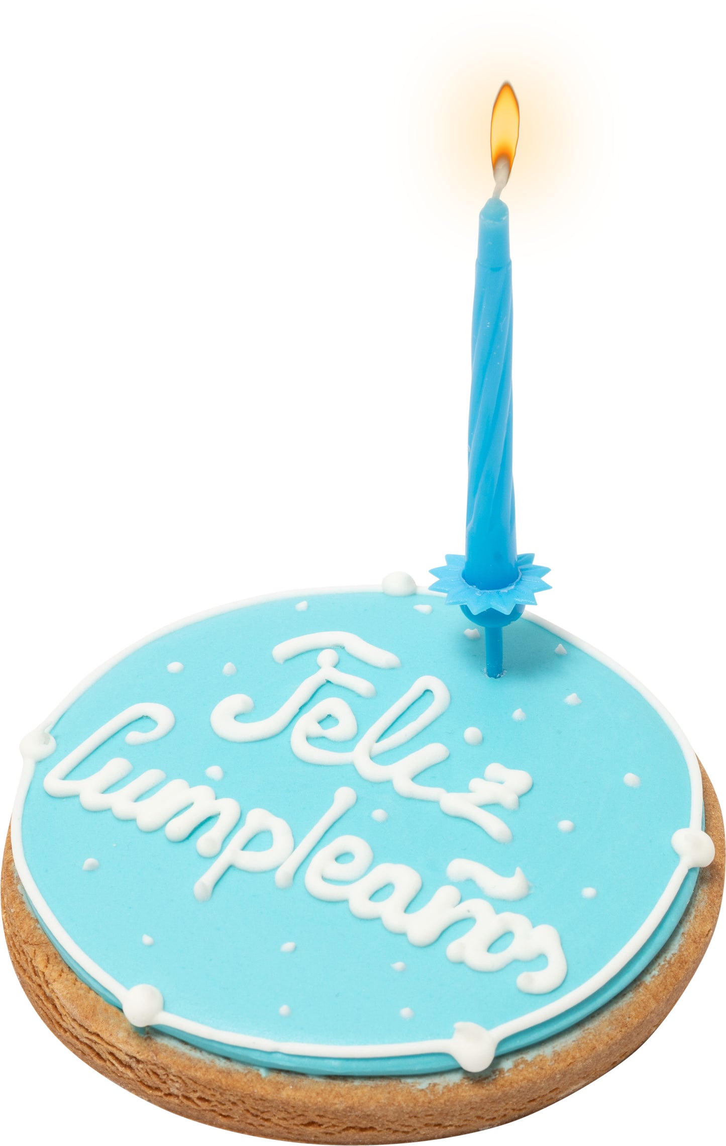 Tarta de cumpleaños para perro con vela incluida