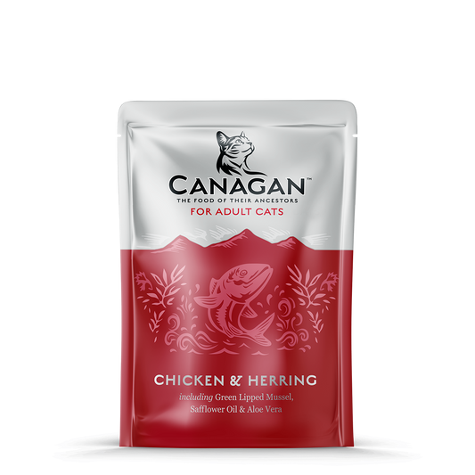 Canagan Paté Pollo y Arenque para gatos adultos 85g