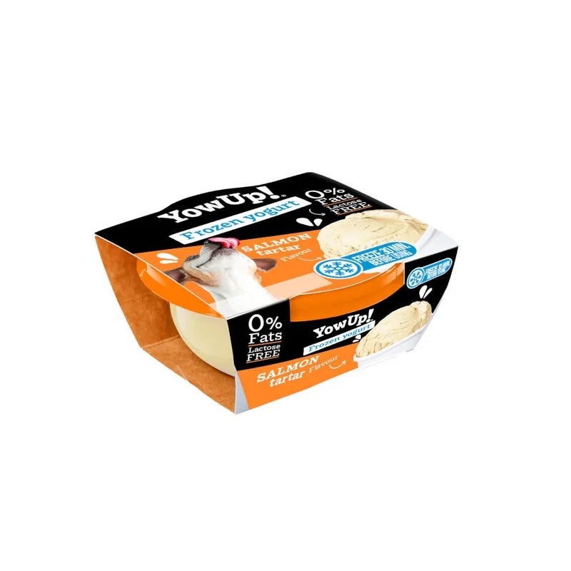 Helado de yogur sabor Tartar de Salmón 110 g | YowUp!